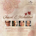 Ghazal E Mohabbat, Vol. 1 - Nina Mehta Song Download